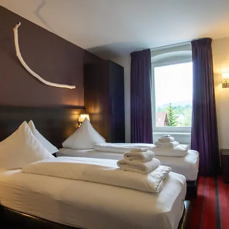 호텔 Wetterstein 4*